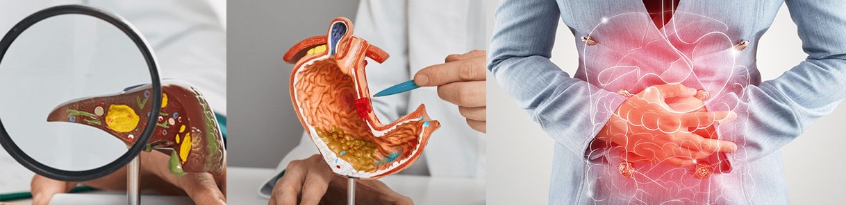 Hepatology & Gastro Enterology